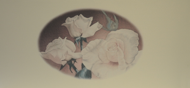 Three_Roses_Pink